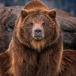 Михаил Васильев